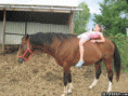 /album/fenykepgaleria/glitterfy-flpbk303453261718141-gif/